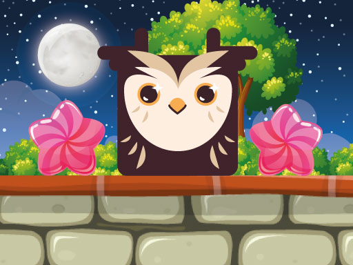 Owl's Flight Adventure v1.5