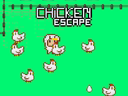 Quick Chicken Chase 2024