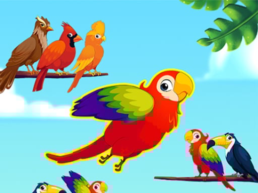 Squary's Egg Flight Adventure 2024