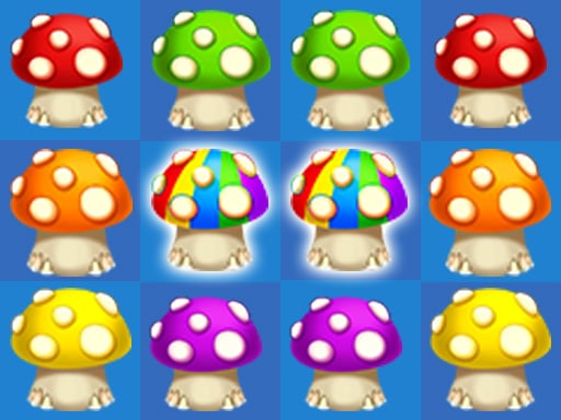 Mushroom整洁大师 2022